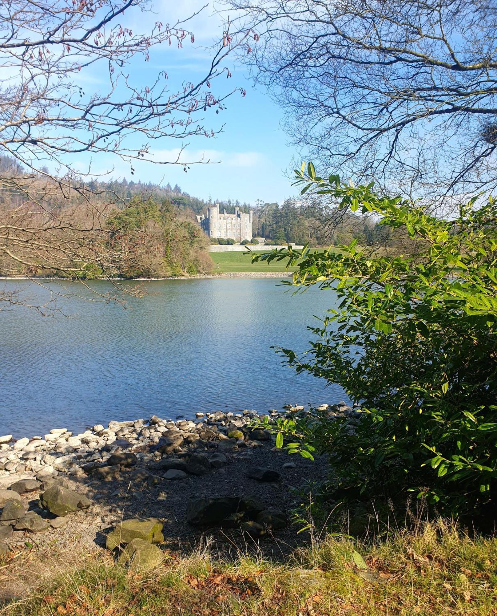 Whitehill Cottage Castlewellan Exterior photo